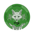 White Fox Peppered Mint nicotine pouches at Pouchhut NZ