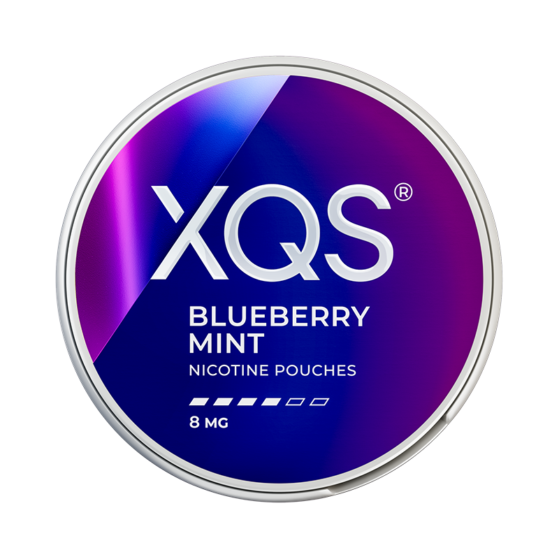 XQS Blueberry Mint nicotine pouches at Pouchhut NZ